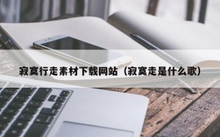 宝应县寂寞行走素材下载网站（寂寞走是什么歌）